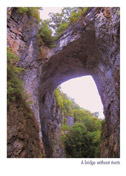 Natural Bridge